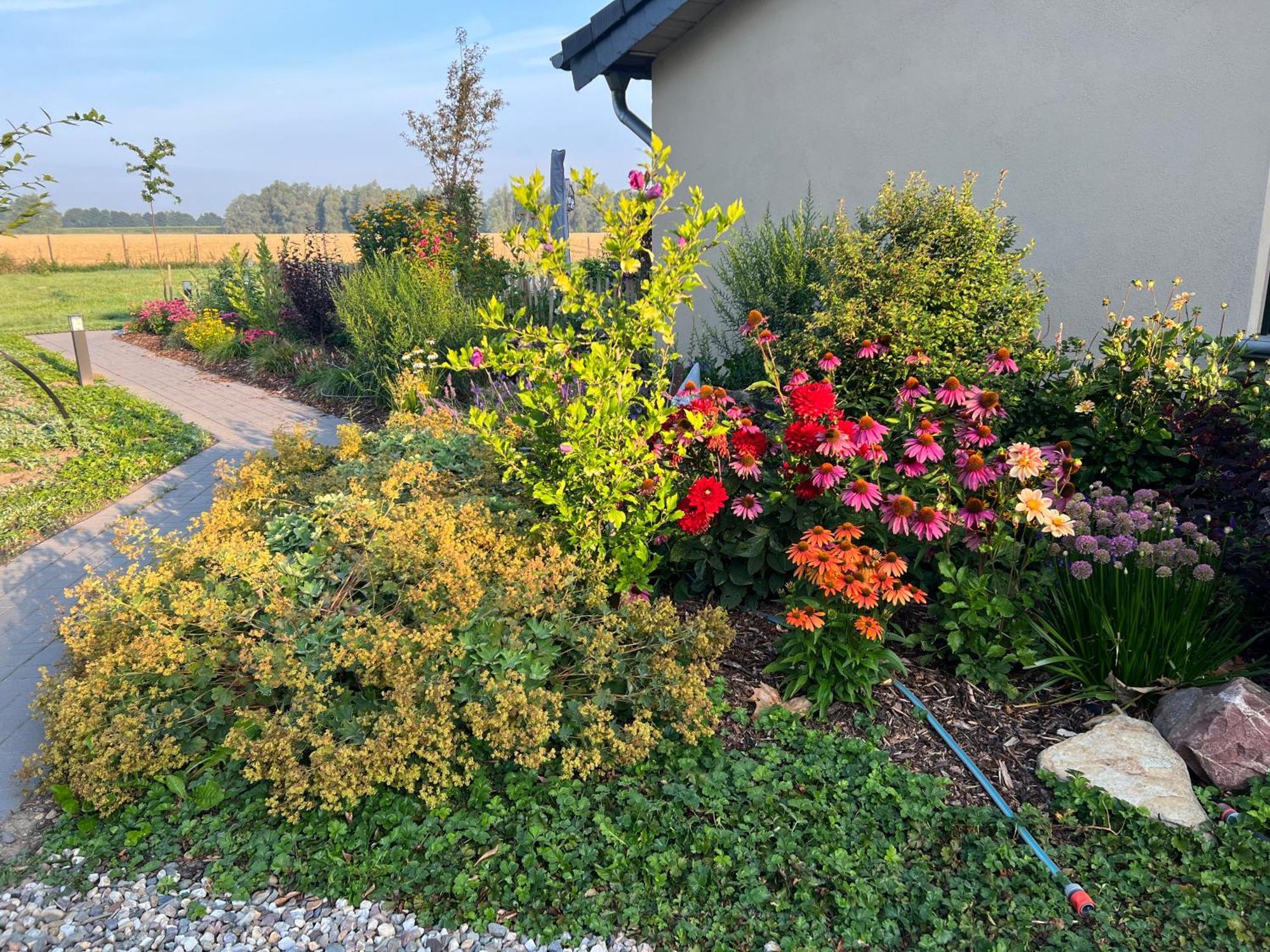 Königsgut Emmericher Eyland Kalkar Exterior foto